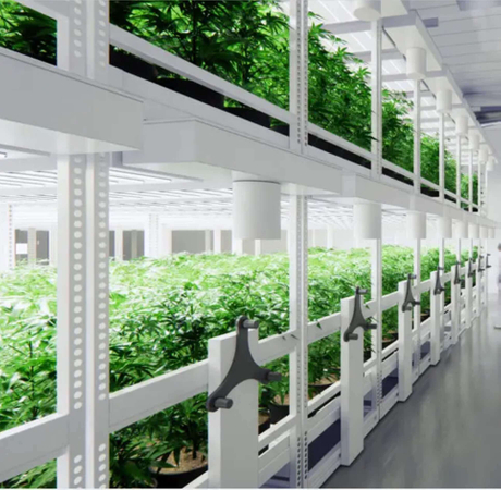 vertical grow racks.jpg