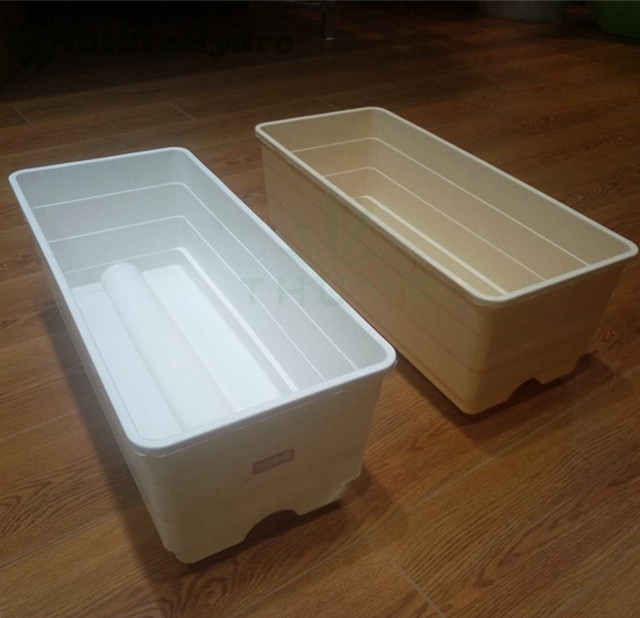 Dutch Bato Buckets for Strawberry Thump