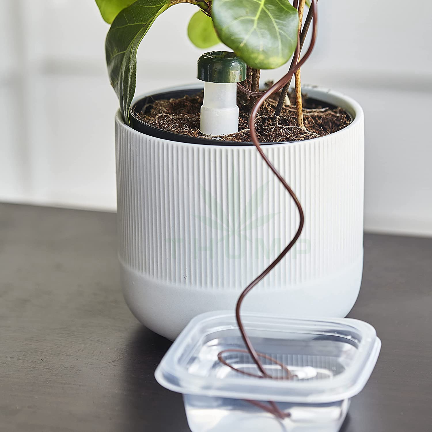 SelfWatering Stake System Thump Supplies