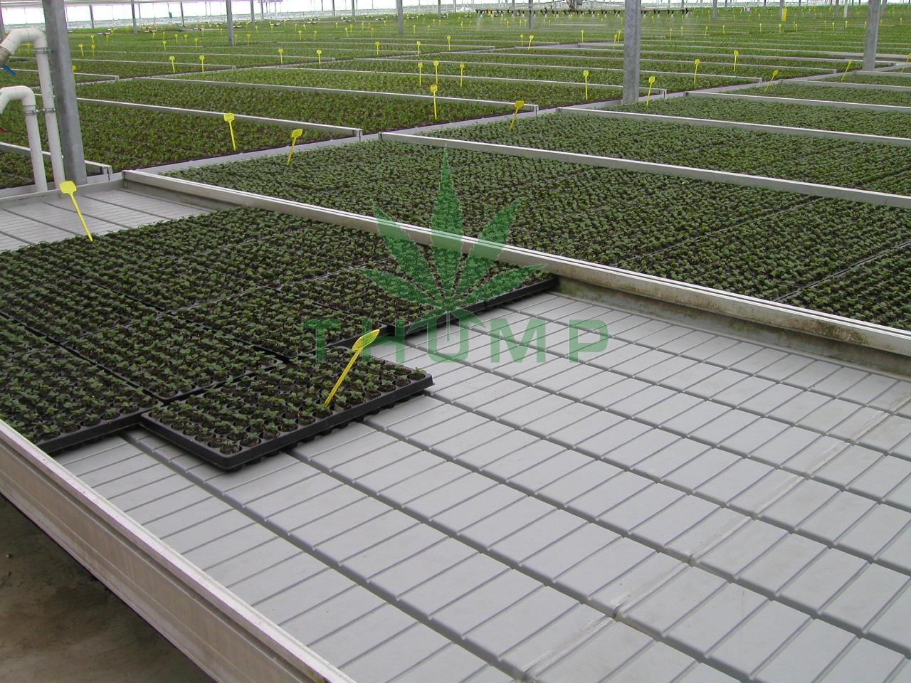Multilayer Hydroponic Mobile Grow Rack System_Thump Agri and Horti Tech ...