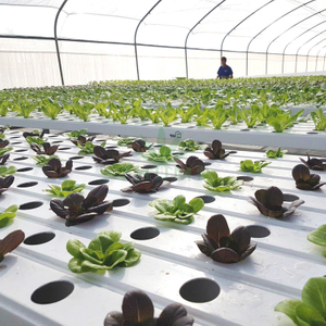 Indoor Hydroponic NFT PVC Channels For Sale