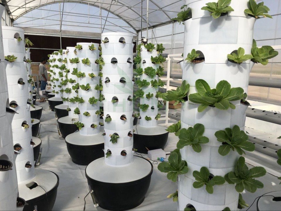 Commercial Aeroponics Tower Garden System For Sale