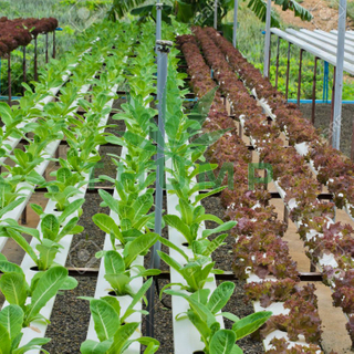 Hydroponics Farm Nft Channels Growing System
