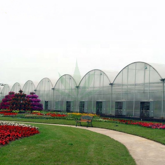 Multi Span Sawtooth Greenhouse