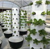 Newest Design Vertical Aeroponic Tower Garden System