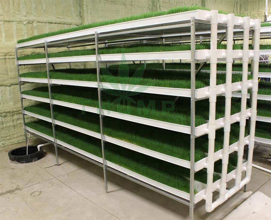 High Yield Hydroponic Sprouting Barley Fodder Trays for Sale